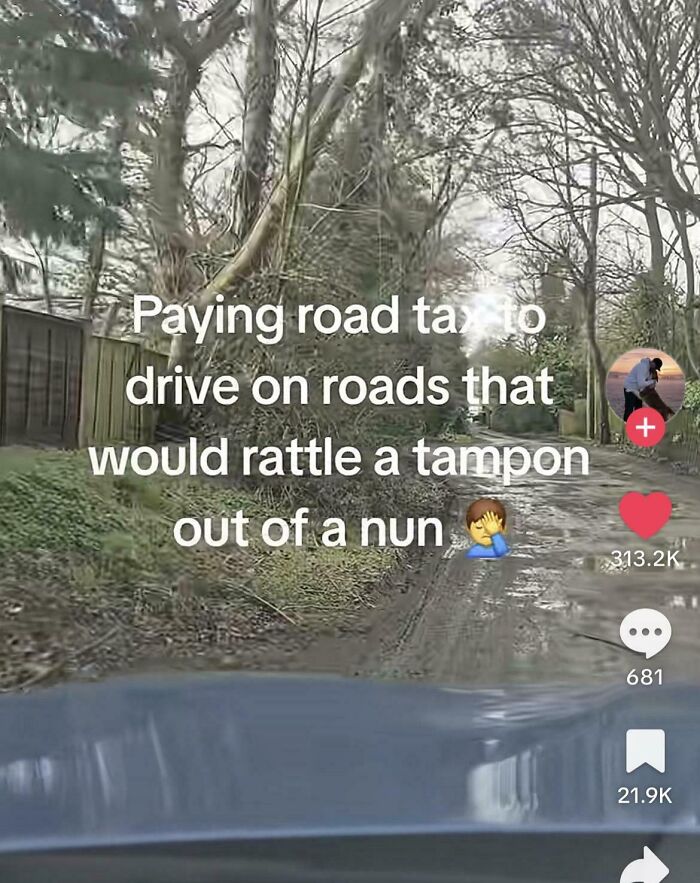 A bumpy, unpaved road with trees on either side, illustrating Funny and Unpredictable Sentences about road taxes.
