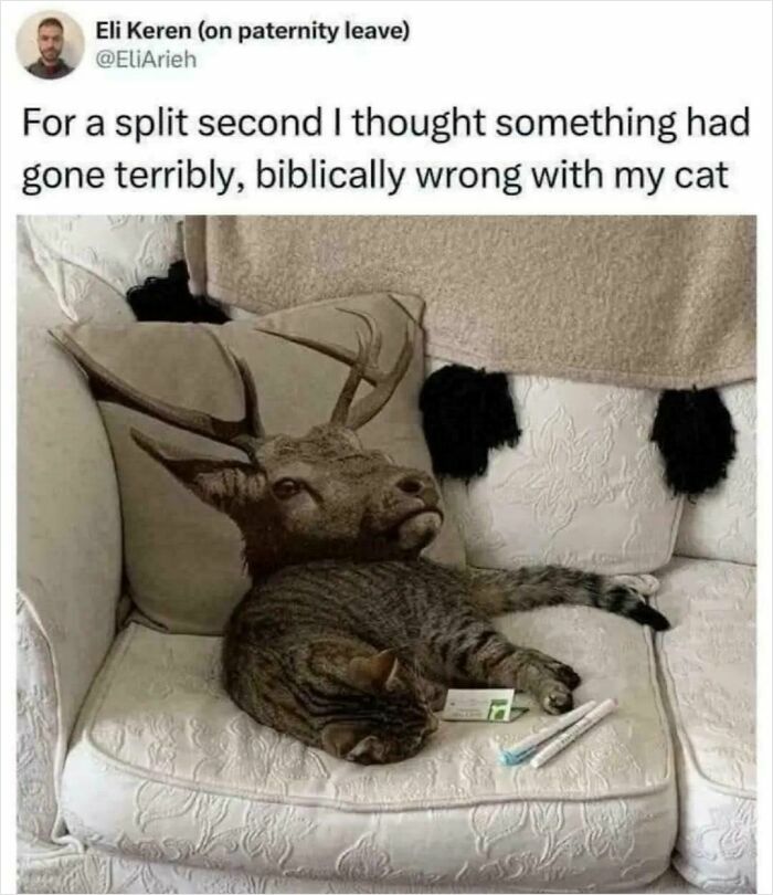 A cat lying next to a deer head pillow, creating a funny and unpredictable optical illusion.