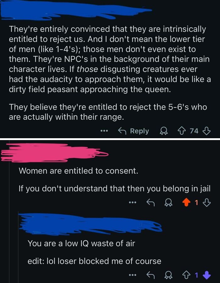 Screenshots of infuriating stories about entitled men, their views on women's consent, and online arguments.