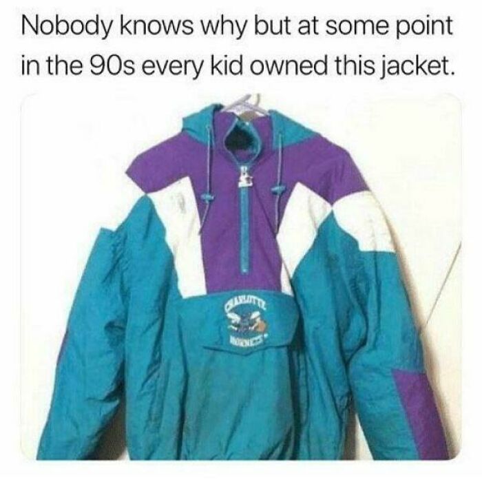 A colorful 90s jacket featuring the Charlotte Hornets logo, a throwback meme for 90s kids.