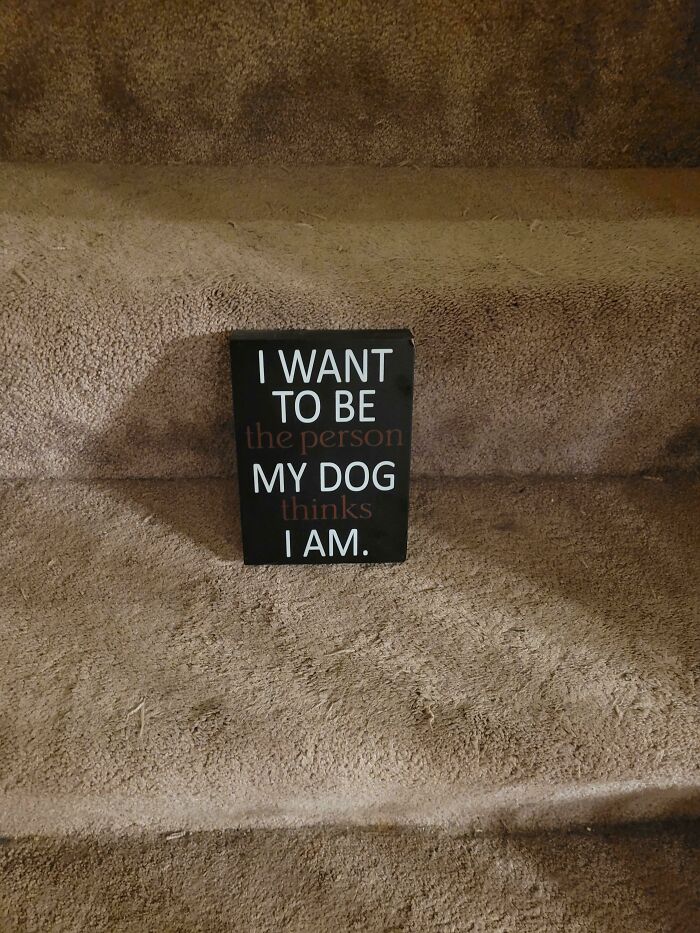 A black sign on a carpeted stair reads I WANT TO BE the person MY DOG thinks I AM, highlighting designers failed.