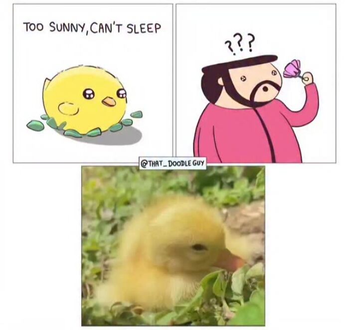 This Artist Turns Everyday Animal Moments Into Wholesome Comics That Are Impossible Not To Smile At (20 New Pics)