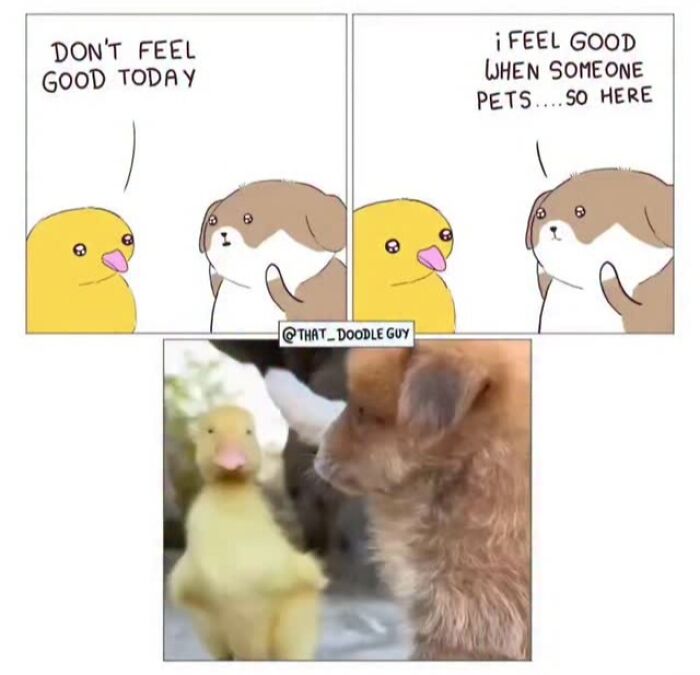 This Artist Turns Everyday Animal Moments Into Wholesome Comics That Are Impossible Not To Smile At (20 New Pics)
