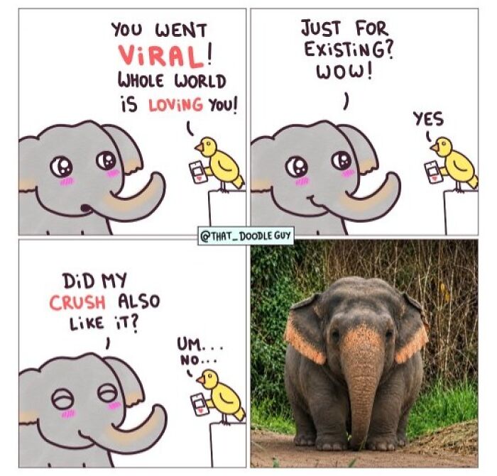 This Artist Turns Everyday Animal Moments Into Wholesome Comics That Are Impossible Not To Smile At (20 New Pics)