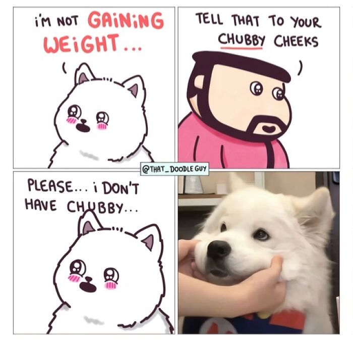 This Artist Turns Everyday Animal Moments Into Wholesome Comics That Are Impossible Not To Smile At (20 New Pics)