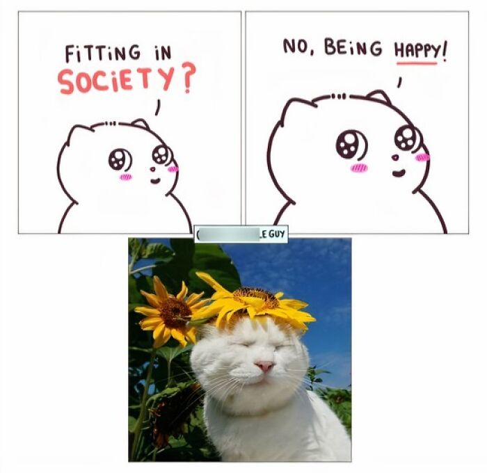 This Artist Turns Everyday Animal Moments Into Wholesome Comics That Are Impossible Not To Smile At (20 New Pics)