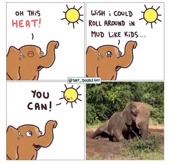 This Artist Turns Everyday Animal Moments Into Wholesome Comics That Are Impossible Not To Smile At (20 New Pics)