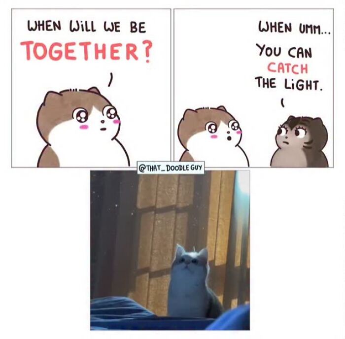 This Artist Turns Everyday Animal Moments Into Wholesome Comics That Are Impossible Not To Smile At (20 New Pics)
