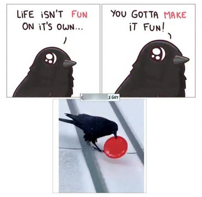 This Artist Turns Everyday Animal Moments Into Wholesome Comics That Are Impossible Not To Smile At (20 New Pics)