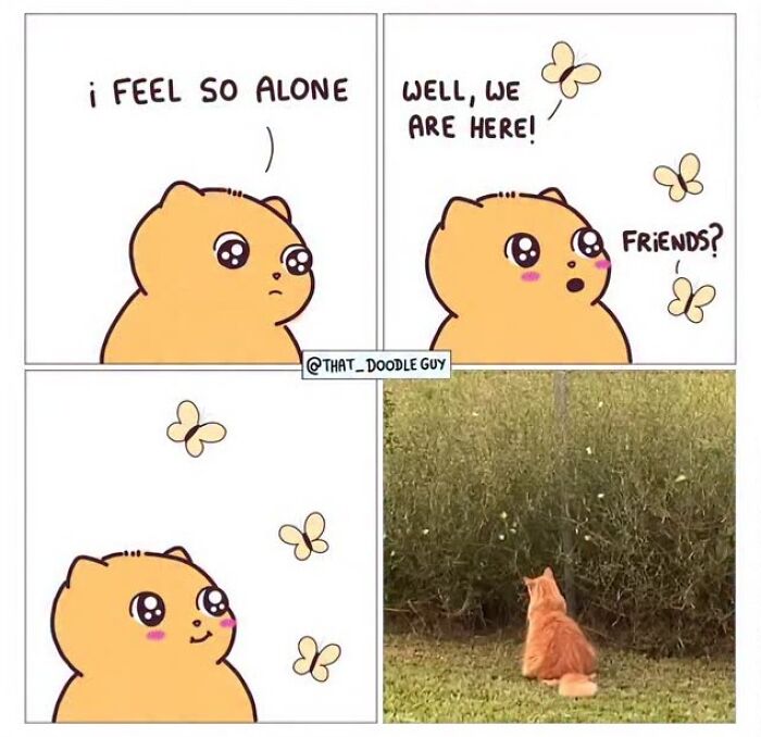 This Artist Turns Everyday Animal Moments Into Wholesome Comics That Are Impossible Not To Smile At (20 New Pics)