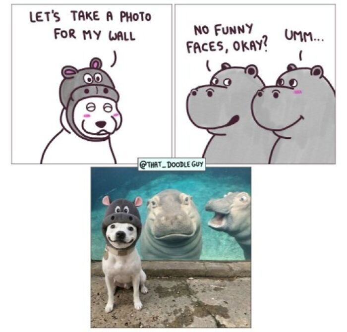 This Artist Turns Everyday Animal Moments Into Wholesome Comics That Are Impossible Not To Smile At (20 New Pics)
