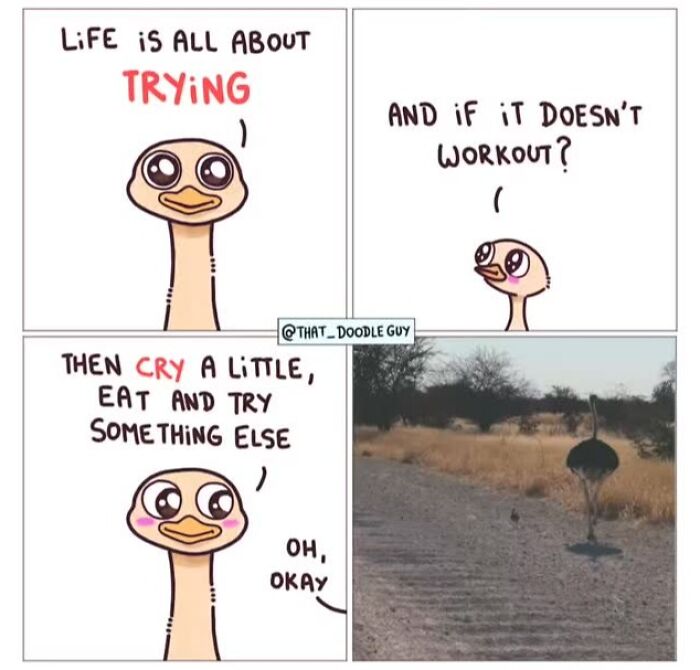 This Artist Turns Everyday Animal Moments Into Wholesome Comics That Are Impossible Not To Smile At (20 New Pics)