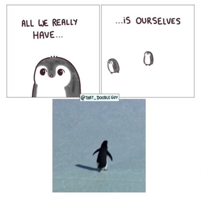 This Artist Turns Everyday Animal Moments Into Wholesome Comics That Are Impossible Not To Smile At (20 New Pics)