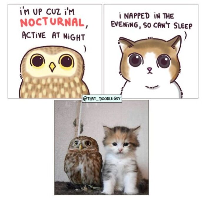 This Artist Turns Everyday Animal Moments Into Wholesome Comics That Are Impossible Not To Smile At (20 New Pics)