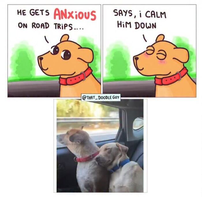 This Artist Turns Everyday Animal Moments Into Wholesome Comics That Are Impossible Not To Smile At (20 New Pics)