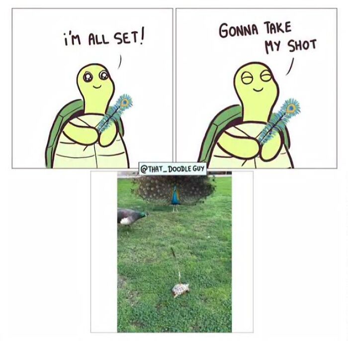 This Artist Turns Everyday Animal Moments Into Wholesome Comics That Are Impossible Not To Smile At (20 New Pics)