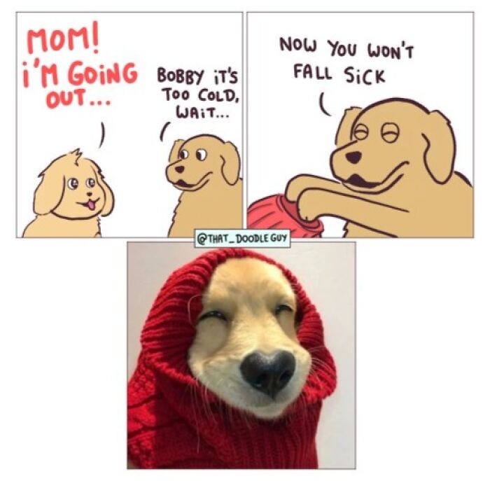 This Artist Turns Everyday Animal Moments Into Wholesome Comics That Are Impossible Not To Smile At (20 New Pics)