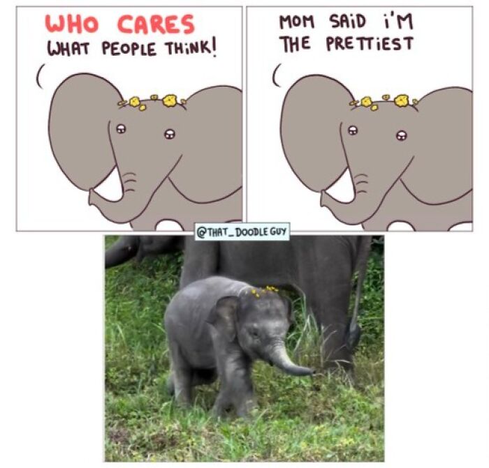 This Artist Turns Everyday Animal Moments Into Wholesome Comics That Are Impossible Not To Smile At (20 New Pics)