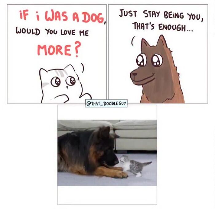 This Artist Turns Everyday Animal Moments Into Wholesome Comics That Are Impossible Not To Smile At (20 New Pics)