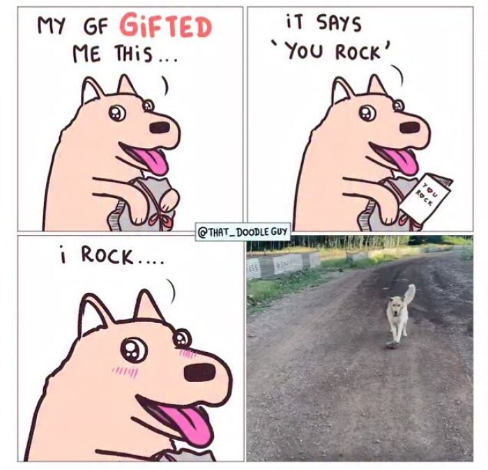 This Artist Turns Everyday Animal Moments Into Wholesome Comics That Are Impossible Not To Smile At (20 New Pics)