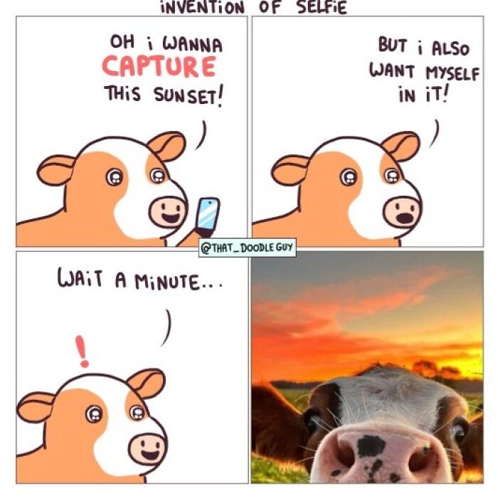This Artist Turns Everyday Animal Moments Into Wholesome Comics That Are Impossible Not To Smile At (20 New Pics)
