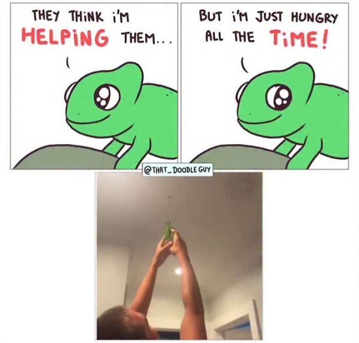 This Artist Turns Everyday Animal Moments Into Wholesome Comics That Are Impossible Not To Smile At (20 New Pics)