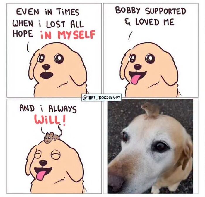 This Artist Turns Everyday Animal Moments Into Wholesome Comics That Are Impossible Not To Smile At (20 New Pics)