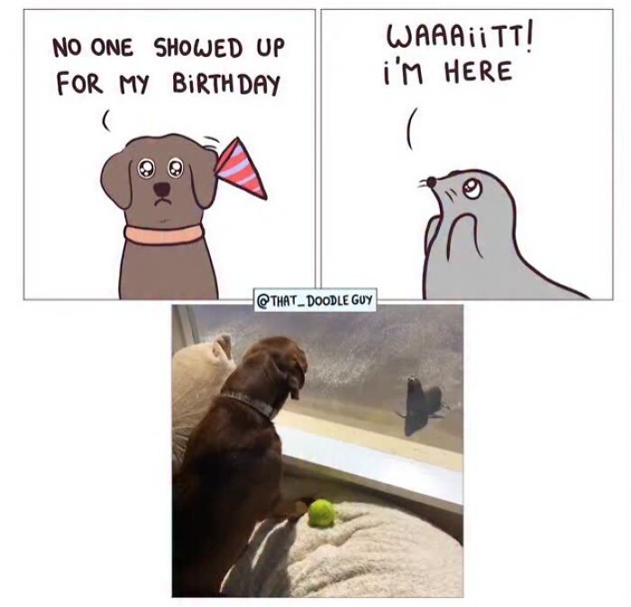This Artist Turns Everyday Animal Moments Into Wholesome Comics That Are Impossible Not To Smile At (20 New Pics)