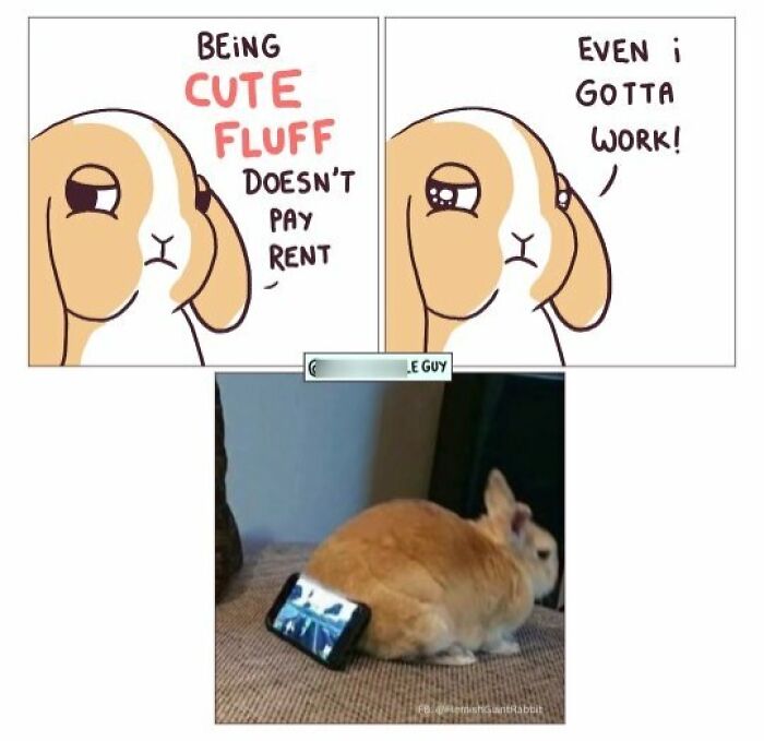 This Artist Turns Everyday Animal Moments Into Wholesome Comics That Are Impossible Not To Smile At (20 New Pics)