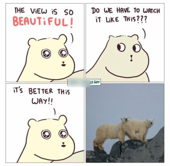 This Artist Turns Everyday Animal Moments Into Wholesome Comics That Are Impossible Not To Smile At (20 New Pics)