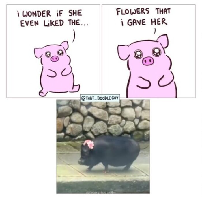 This Artist Turns Everyday Animal Moments Into Wholesome Comics That Are Impossible Not To Smile At (20 New Pics)