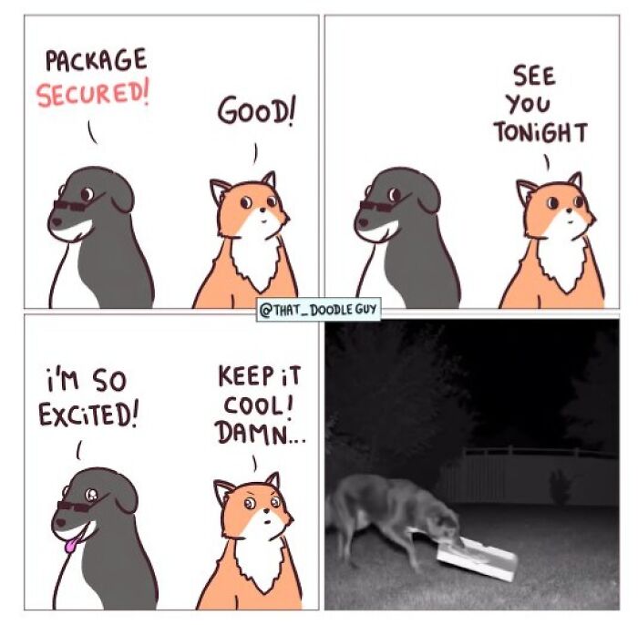 This Artist Turns Everyday Animal Moments Into Wholesome Comics That Are Impossible Not To Smile At (20 New Pics)