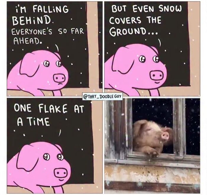 This Artist Turns Everyday Animal Moments Into Wholesome Comics That Are Impossible Not To Smile At (20 New Pics)