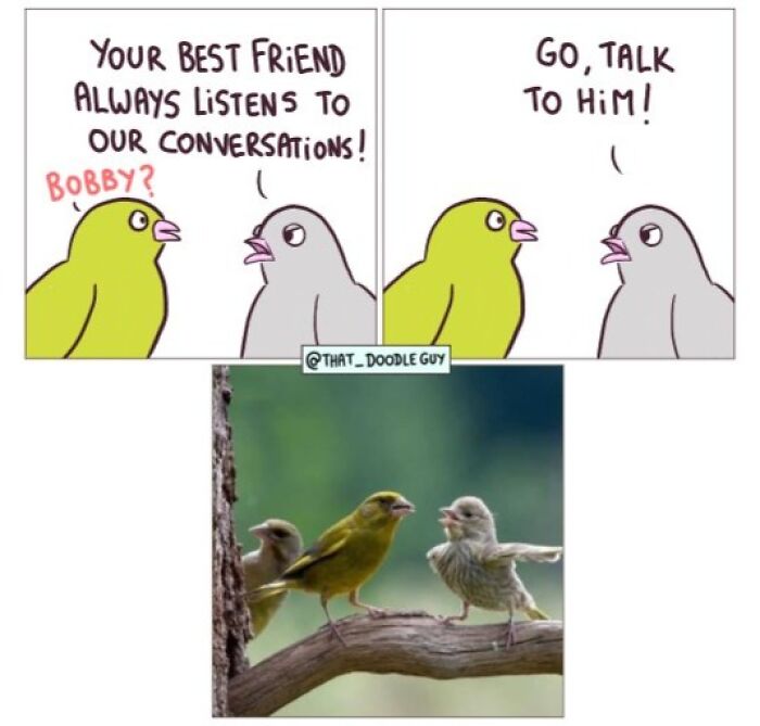 This Artist Turns Everyday Animal Moments Into Wholesome Comics That Are Impossible Not To Smile At (20 New Pics)