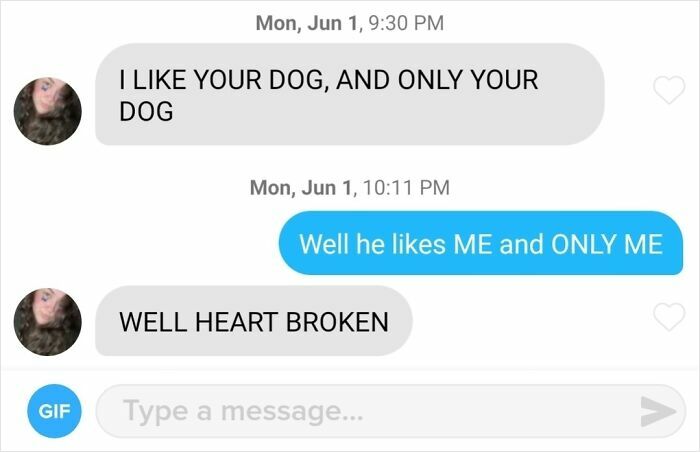 Funny Tinder Texts Messages about a dog preference.