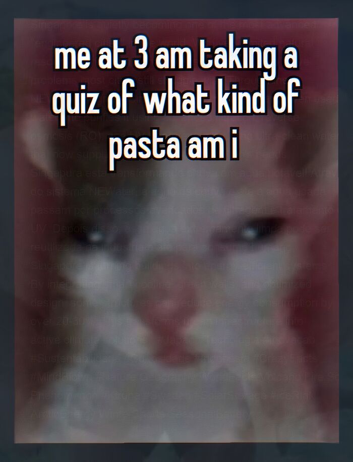 A weird meme showing a blurry cat with text me at 3 am taking a quiz of what kind of pasta am i, about late-night quizzes.