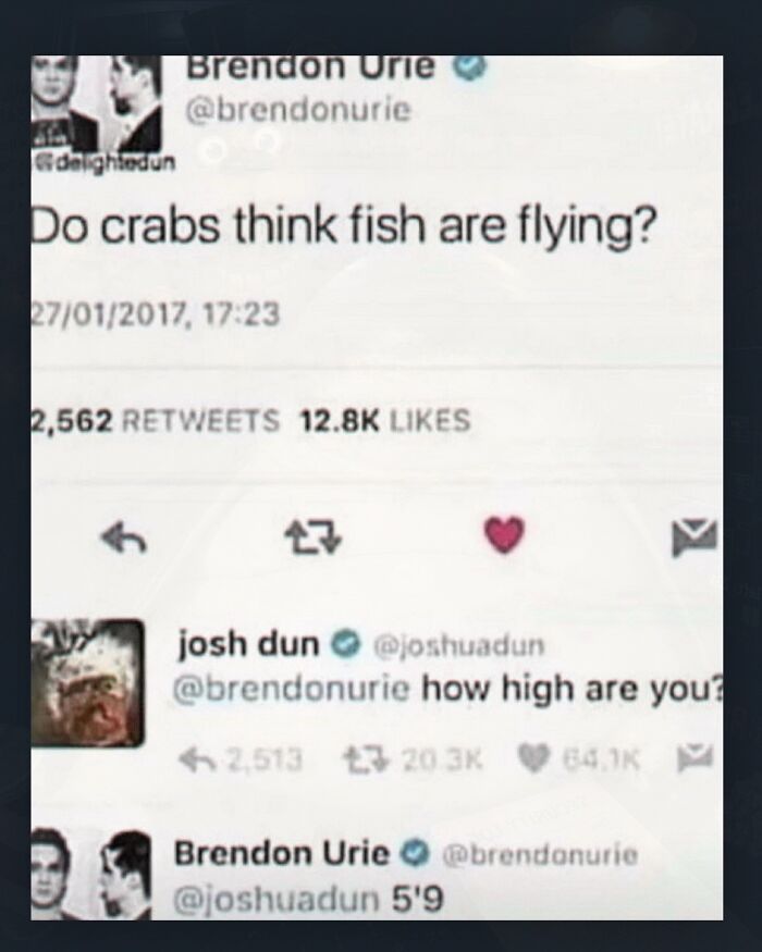 A weird meme of a Twitter exchange where Brendon Urie asks if crabs think fish are flying.