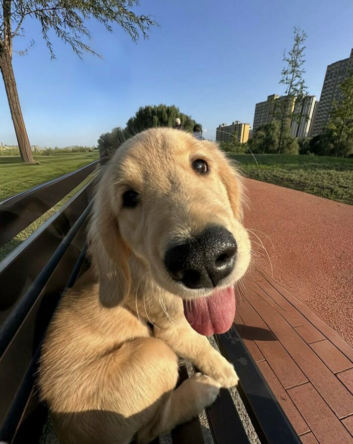 This X Page With Over A Million Followers Shares The Internet’s Most Wholesome Animal Photos, And Here Are 60 Of The Best Ones