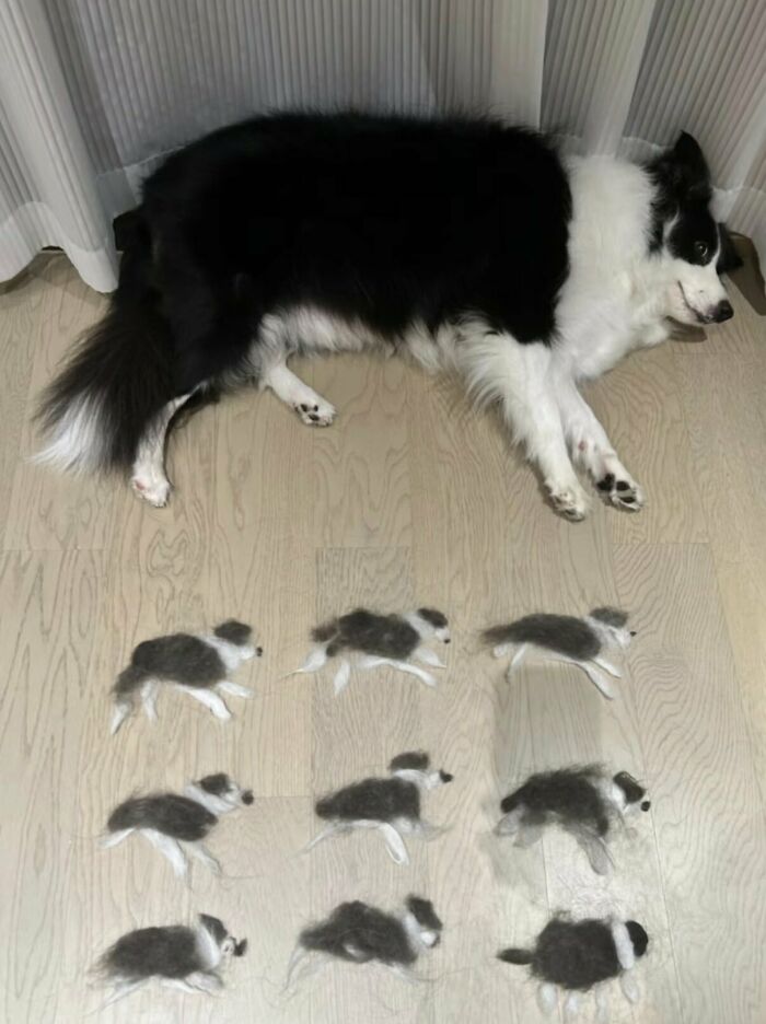 This X Page With Over A Million Followers Shares The Internet’s Most Wholesome Animal Photos, And Here Are 60 Of The Best Ones