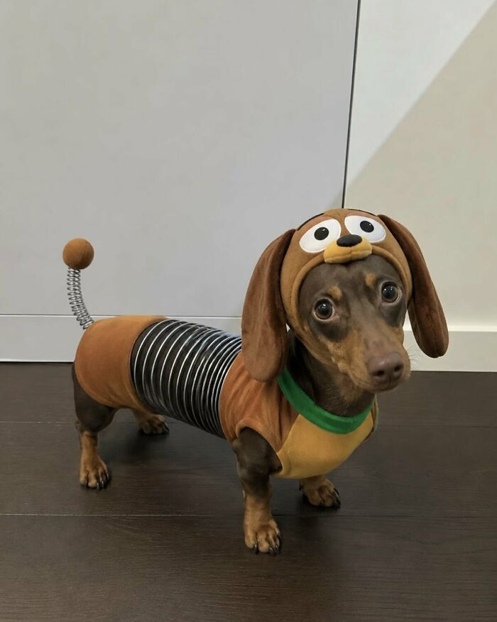 This X Page With Over A Million Followers Shares The Internet’s Most Wholesome Animal Photos, And Here Are 60 Of The Best Ones