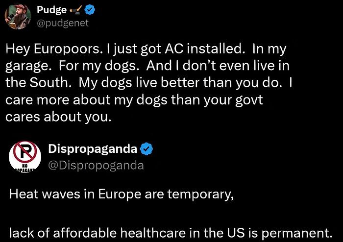 Funny meme discussing a tweet about AC installation for dogs during summer heat.