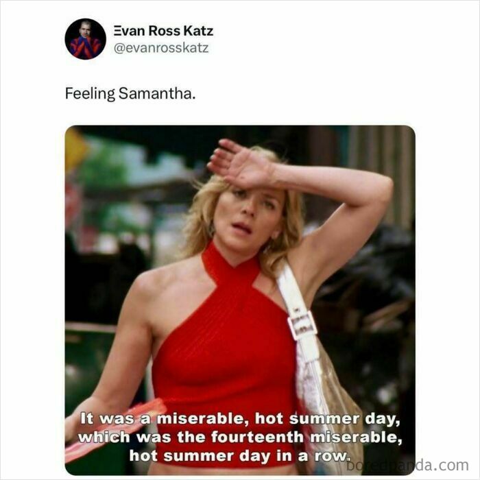 A meme featuring a woman wiping her brow, with text about a miserable hot summer day. This is one of many funny memes about summer heat.
