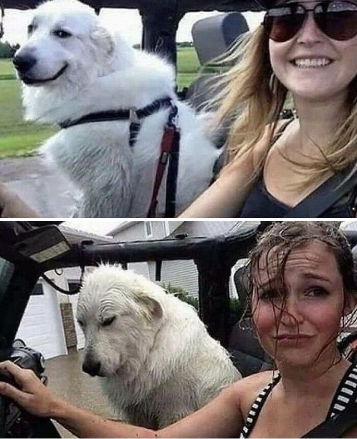 This X Page With Over A Million Followers Shares The Internet’s Most Wholesome Animal Photos, And Here Are 60 Of The Best Ones