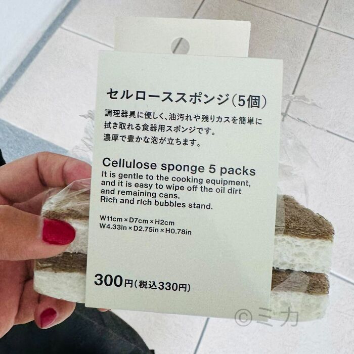A hand holding a package of cellulose sponges in Japan with a hilarious example of getting lost in translation on the label, 'Rich and rich bubbles stand.'