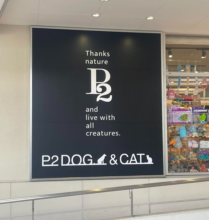 Hilarious example of getting lost in translation: a large sign in Japan reads 'Thanks nature B and live with all creatures.' next to P2 DOG & CAT.
