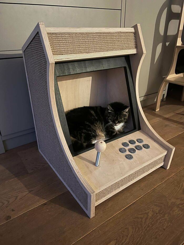 A cat sleeping inside a creative handmade arcade cabinet cat bed, a unique and patient project.