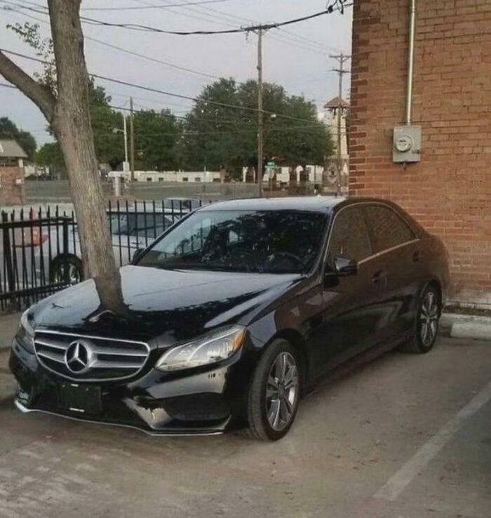 A black Mercedes car parked next to a tree, appearing to have the tree growing through the car, an optical illusion.