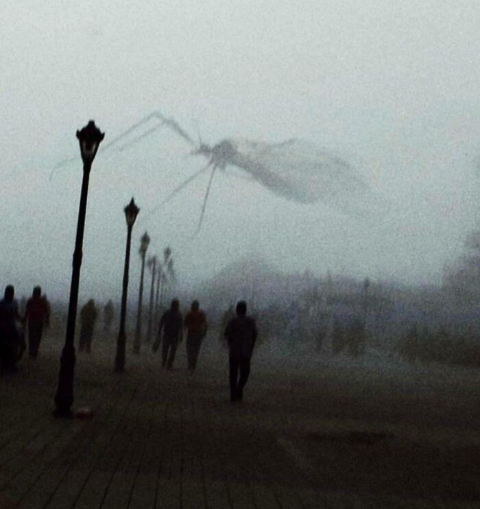 A giant, mosquito-like creature appearing as an optical illusion in a foggy sky over a street with people and lampposts.