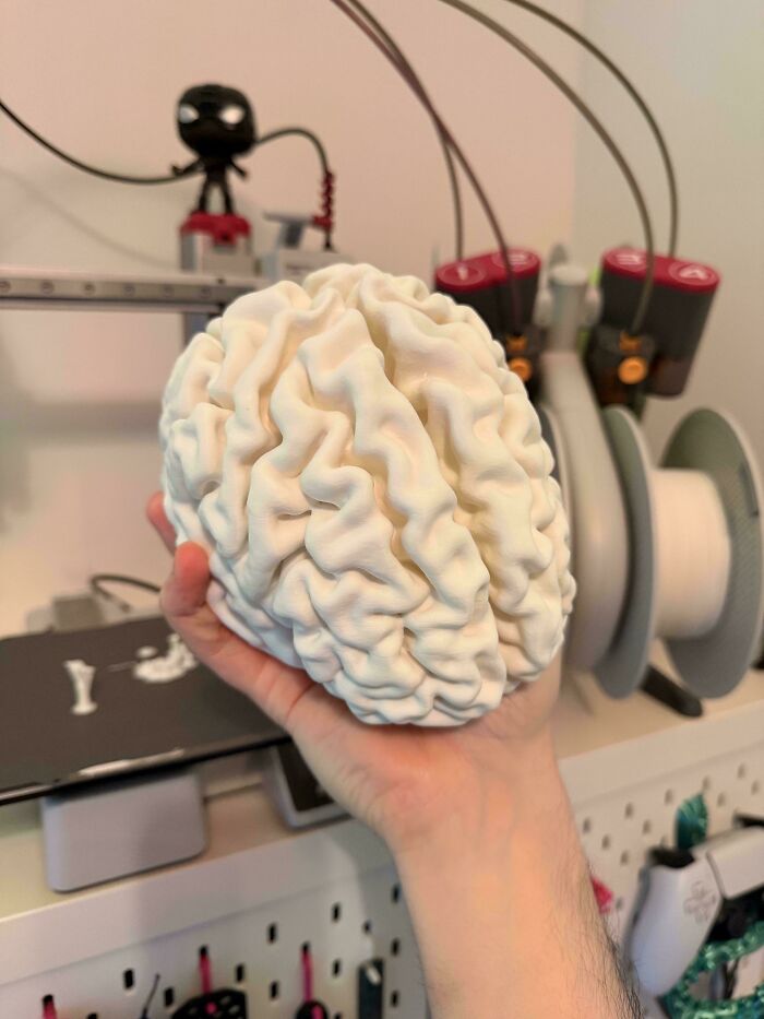 A detailed 3D printed brain model held in a hand, one of the many cool 3D printer projects.