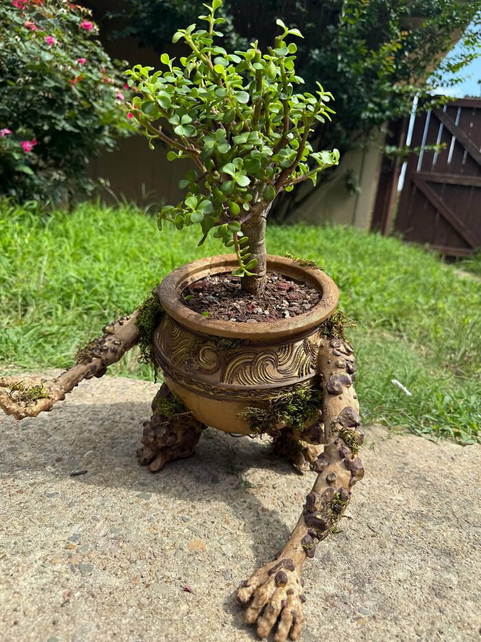 A potted plant in a decorative planter with root-like legs, a unique 3D printer project.